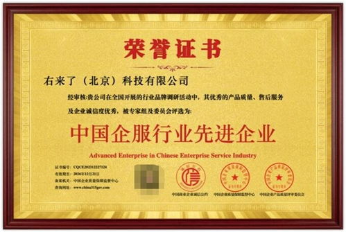 右來(lái)了科技榮獲“中國(guó)企服行業(yè)先進(jìn)企業(yè)”稱(chēng)號(hào)，彰顯信息系統(tǒng)集成服務(wù)卓越實(shí)力